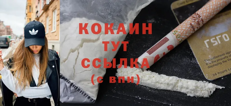 где купить   Пыталово  Cocaine VHQ 